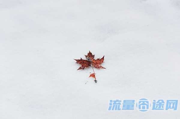 流量卡如何选择套餐（流量卡怎么选划算）3